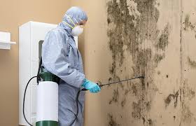 Parma, OH Mold Removal Services Company